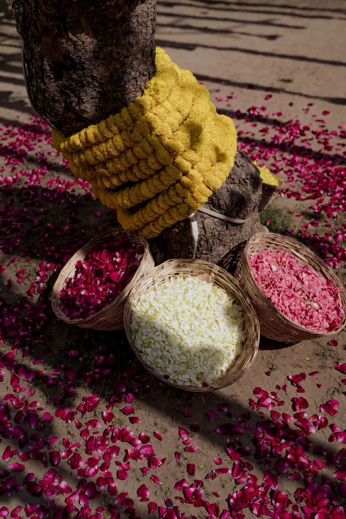 The Garden of Blessings — lotus pink blessing ceremony by Sage & Saaj
